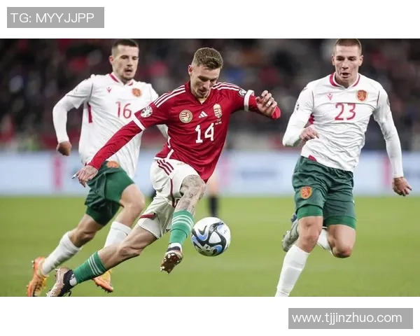 南京足球队在世界杯预选赛中以84分稳居积分榜首位，展现强劲实力